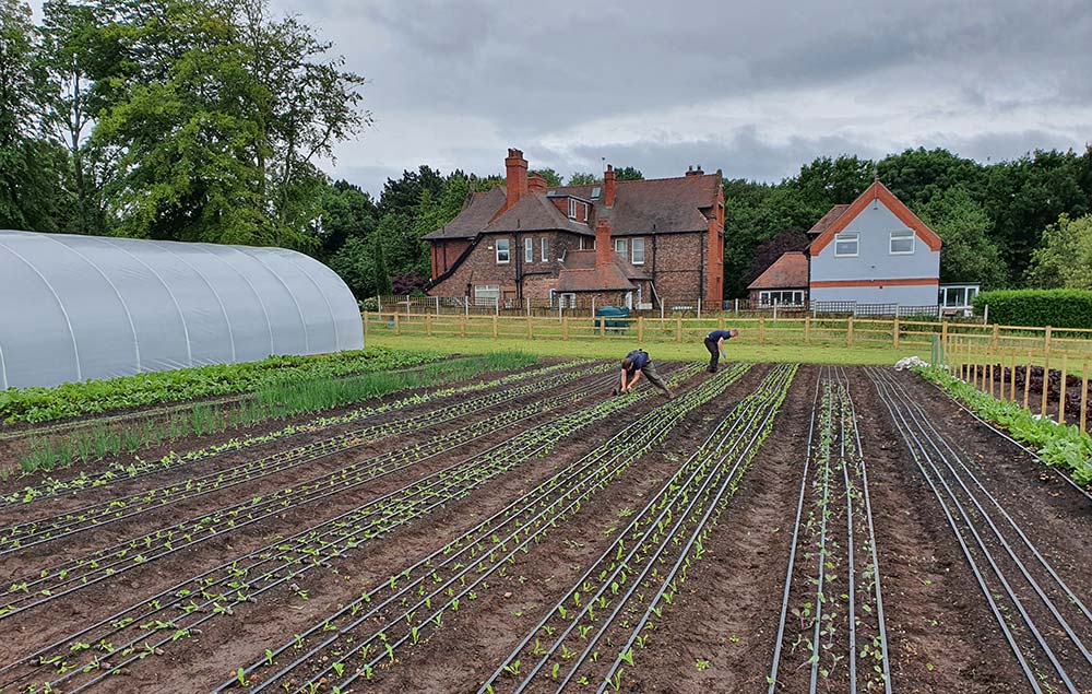Farming Knowledge Should Be Practical